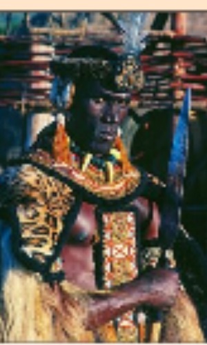 Chaka Zoulou (http://geshakazulu)