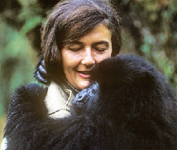  (http://cultura.hu/aktualis/dian-fossey-tortenete/ ())