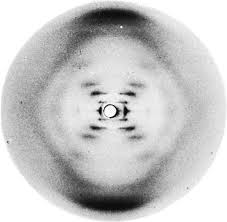  (https://www.emaze.com/@AOOQWCZO/Presentation-Name ())