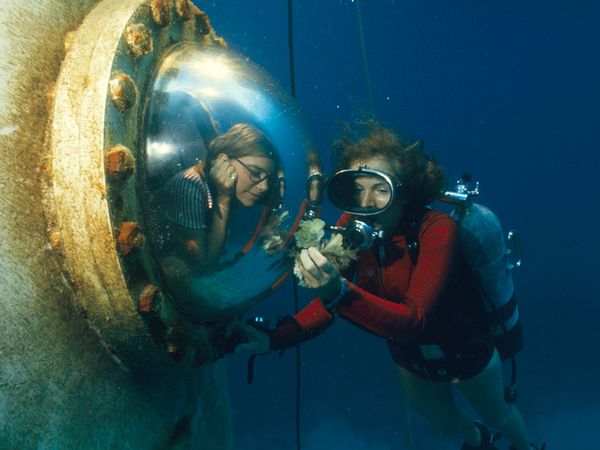 Sylvia Earle showing a fellow colleage algae  (National Geographic  (Bates Littlehales))