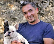 <a href=http://www.dogchannel.com/images/cesar_pic.jpg>Cesar Millan and friend</a>
