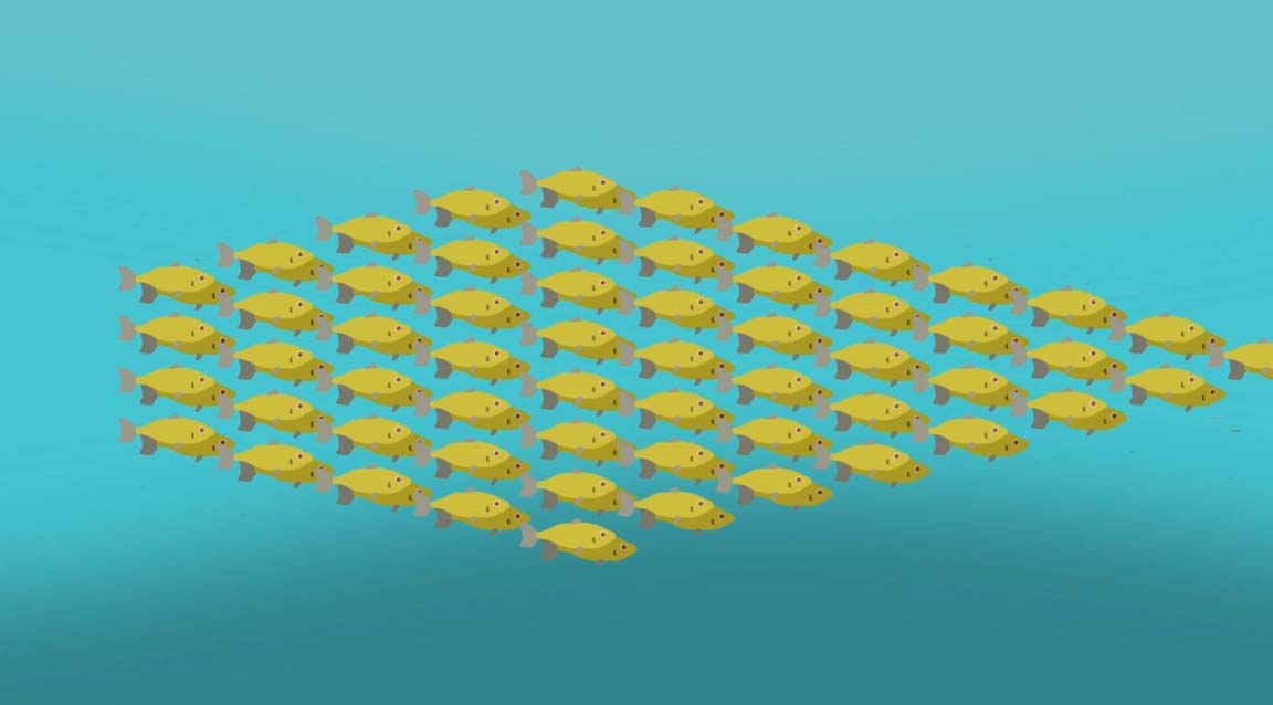 The Plastic Problem poster