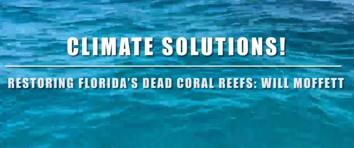 Climate Solutions! poster