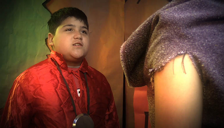 Curse of the Forest poster