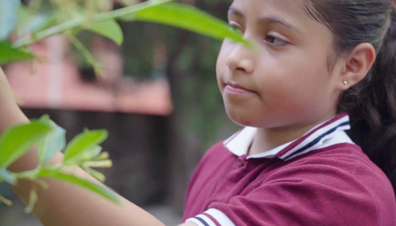 The Teachers of Tomorrow poster